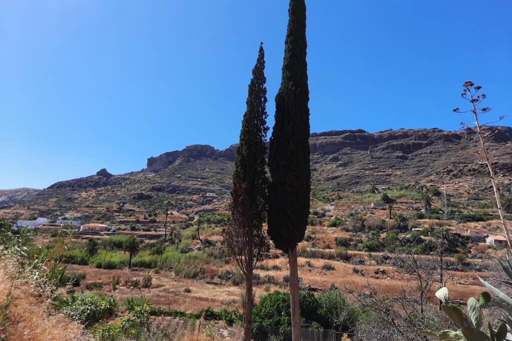 Casa Rural Los Cipreses. Cercados De Arana San Bartolomé Luaran gambar